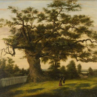 100. The Unlikely Legend – and History – of the Charter Oak