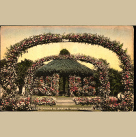 115. America’s First Public Rose Garden - Elizabeth Park