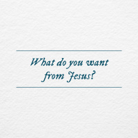 What do you want from Jesus? - Lynn Barton, February 8, 2015