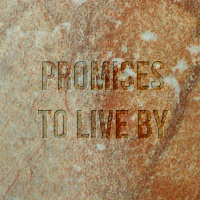 Promises to Live By - Lynn Barton, March 8, 2015