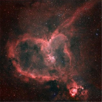 ReCreatin with Radine! LivingOneVibrationalEnergy