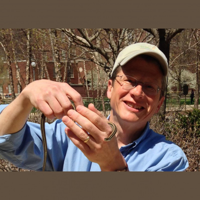 Environmental Almanac