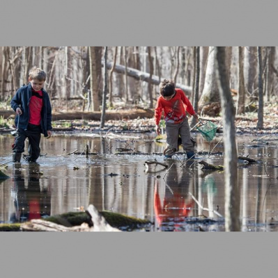 Environmental Almanac