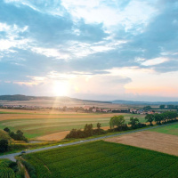 Is EU Climate Madness and the Netherlands War on Farmers Coming to America?