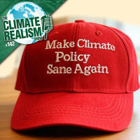 Making Climate Policy Sane Again - The Climate Realism Show #142