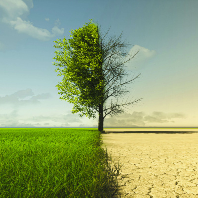 Environment And Climate News Podcast