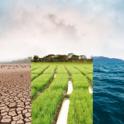 Environment And Climate News Podcast