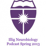 Illig Neurobiology Spring 2013