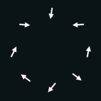 Scientists Discover Exotic New Patterns of Synchronization