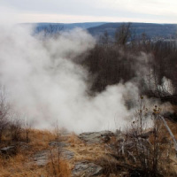Heat-Loving Microbes, Once Dormant, Thrive Over Decades-Old Fire