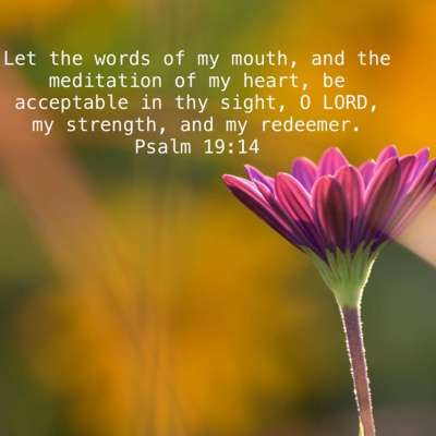 Scripturelinks Daily