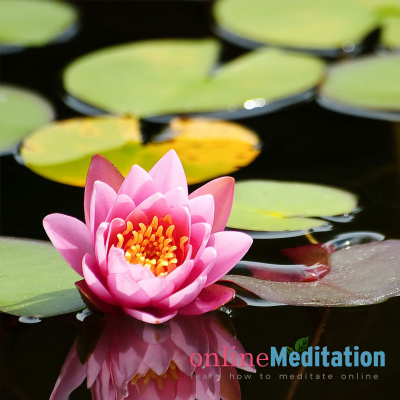 Sahaja Yoga Meditation | Online Meditation Course