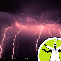 Does Lightning Fry Fish?