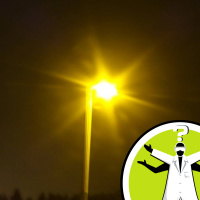 Do street lights affect birds and plants?