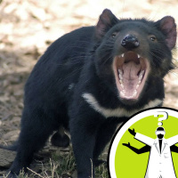 Can you Catch Cancer?