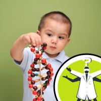 Does thalidomide alter DNA?