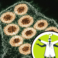 Could the measles virus treat autoimmune diseases?