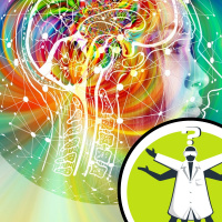 What proportion of the brain stores memory?