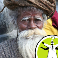 Do humans have whiskers?