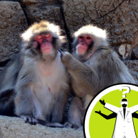 Does same-sex attraction happen in animals too?