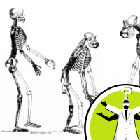 Is technology steering human evolution?