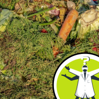 Compost or landfill: which emits more?