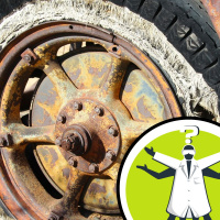 Can dog wee dissolve rubber tyres?