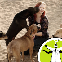 What parasites can I catch from my pets?