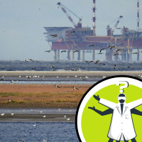 What will happen to petrol when we all drive electric cars?