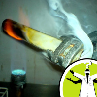 Can we create a living organism from basic elements?