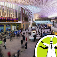 Are city dwellers more immune to bugs?