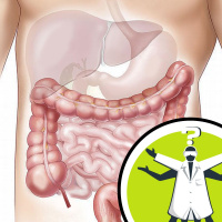 How long before the food I eat becomes me?