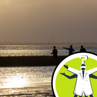 Why are there salty and fresh bodies of water?