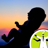 How does a baby safely stay upside down in the womb?