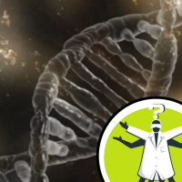 Can you get DNA from crematorium ashes?