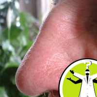 A True Scale of Smell