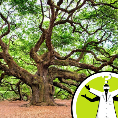 Question Of The Week - From The Naked Scientists