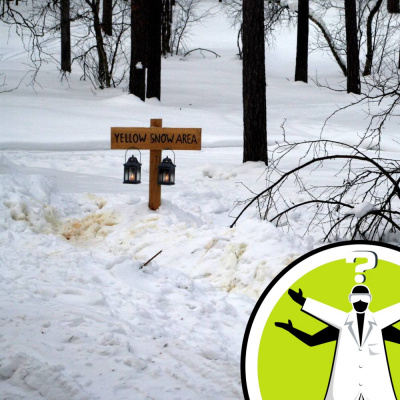 Question Of The Week - From The Naked Scientists