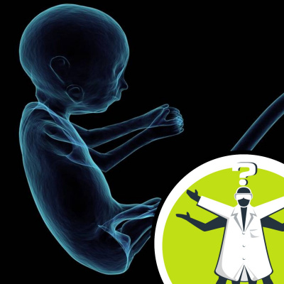 Question Of The Week - From The Naked Scientists