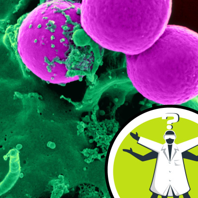 Question Of The Week - From The Naked Scientists