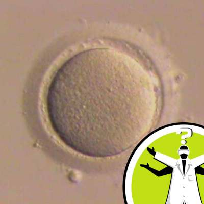 Question Of The Week - From The Naked Scientists