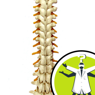 Question Of The Week - From The Naked Scientists