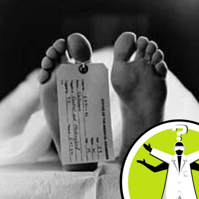 Question Of The Week - From The Naked Scientists