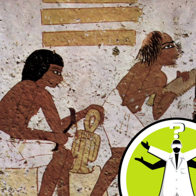 Question Of The Week - From The Naked Scientists