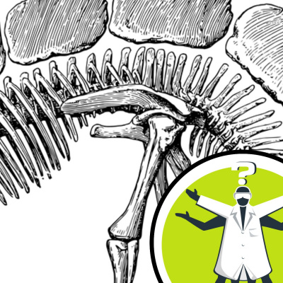 Question Of The Week - From The Naked Scientists