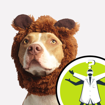 Question Of The Week - From The Naked Scientists