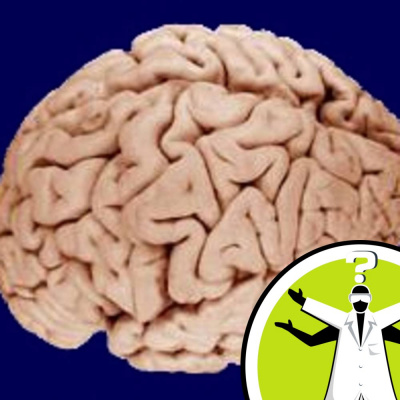 Question Of The Week - From The Naked Scientists