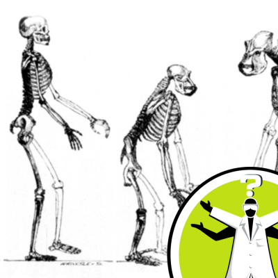 Question Of The Week - From The Naked Scientists