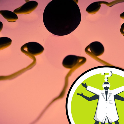 Question Of The Week - From The Naked Scientists