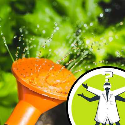 Question Of The Week - From The Naked Scientists